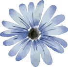 Blue Flower in Web Design